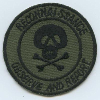 75th Infantry Airborne Ranger LRP LRRP LRS RECON beret flash patch 